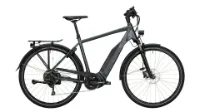 Victoria eTrekking 10.9 obsidian anthracite/brown 28" 500 Wh Diamant Victoria eTrekking 10.9 obsidian anthracite/brown 28" 500 Wh Diamant