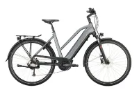 Victoria eTrekking 12.6 Grey Matt 28" 500 Wh Trapez Victoria eTrekking 12.6 Grey Matt 28" 500 Wh Trapez