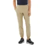 Light brown 1