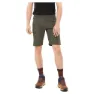 Olive 1