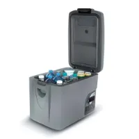 Vitrifrigo C29m 29l Steife Tragbare Kühlbox Vitrifrigo C29m 29l Steife Tragbare Kühlbox