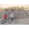 Weeride Co-pilot Trailer, Silver, Max 35kg