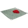 Wild Country 40-0000010032 Seilplane