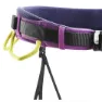 Wild Country Flow Gurtzeug, Purple / green, M