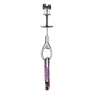 Silver / purple