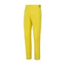 Whin yellow