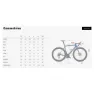 Wilier Filante Sl Campy Super Record Eps 2025 Rennrad