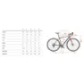 Wilier Jareen Grx Rd-rx400 2025 Gravelbike