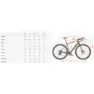 Wilier Jena Grx 2x12 2024 Gravelbike, Patterned bronzeglossy