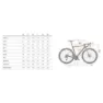 Wilier Rave Sl Graff Xl Grx 810 2025 Gravelbike