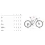 Wilier Urta Max Slr 29´´ Xx Sl Eagle Axs T-type K6 2025 Mountainbike, Willier factory team, S