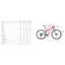 Wilier Urta Slr 29´´ Xt Rd-m8100 Sgs 2025 Mountainbike