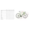 Wilier Verticale Slr Super Record Wrl 2025 Rennrad