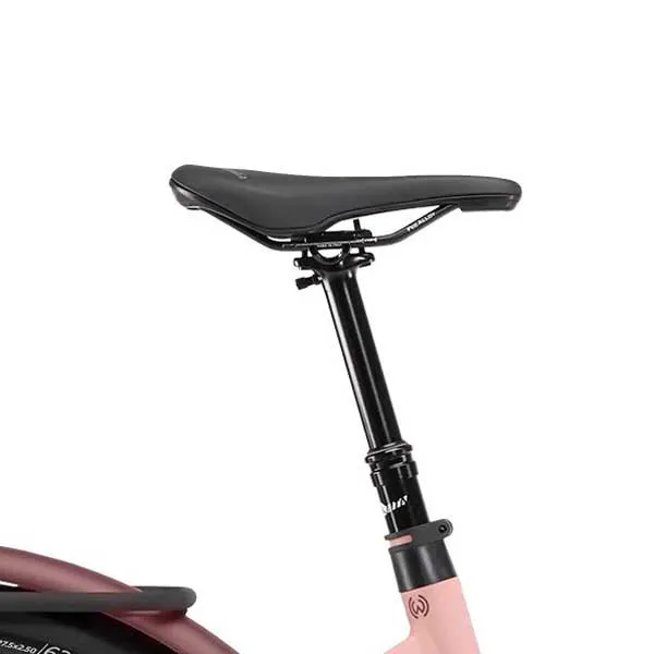 Winora Iride Pure Rf Mid 2024 Elektrofahrrad Winora Iride Pure Rf Mid 2024 Elektrofahrrad