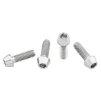 Wolf Tooth Titanium Standard Head Raw Flaschenhalter Schrauben Wolf Tooth Titanium Standard Head Raw Flaschenhalter Schrauben