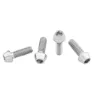 Wolf Tooth Titanium Standard Head Raw Flaschenhalter Schrauben, Silver, One Size