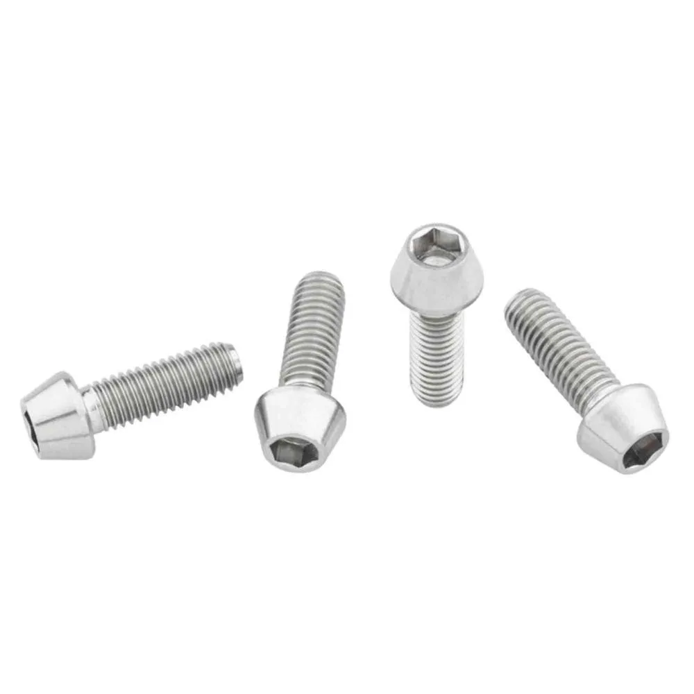 Wolf Tooth Titanium Standard Head Raw Flaschenhalter Schrauben, Silver, One Size Wolf Tooth Titanium Standard Head Raw Flaschenhalter Schrauben, Silver, One Size