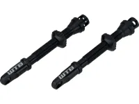 WTB TCS AL Max-Flow Tubelessventil - 2 Stück WTB TCS AL Max-Flow Tubelessventil - 2 Stück