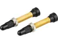 WTB TCS Presta Tubelessventil