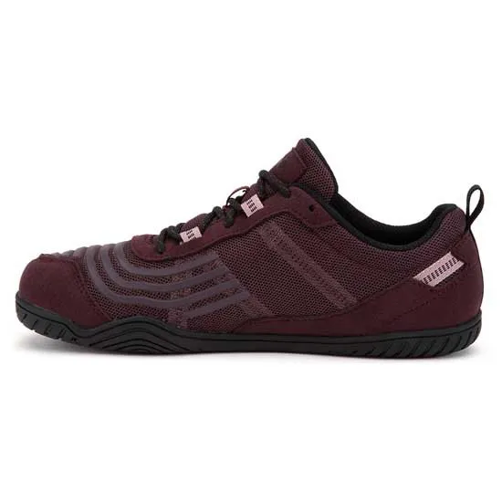 Xero Shoes 360 Laufschuhe male