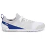 White / sodalite blue