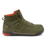 Olive 1