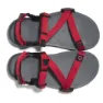 Xero Shoes Z-trail Sandalen