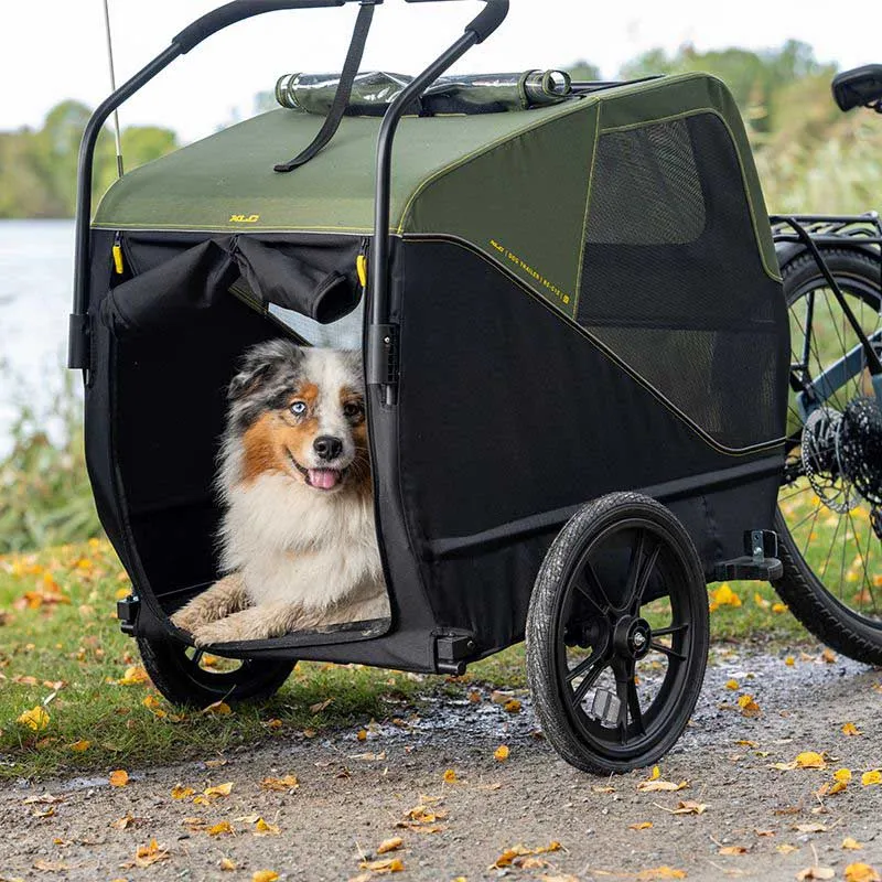 XLC Bs-c12 M Hundeanhänger, Green / black, Max 60kg