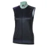 Dark blue / green / lilac