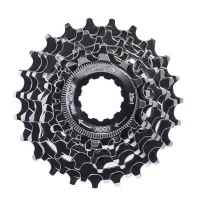 XLC Kassette Campagnolo 12-23 8 v Unisex