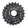 XLC Kassette Campagnolo 13-23 8 v Unisex, schwarz, 13-23/8V