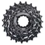 XLC Primato Campagnolo Kassette
