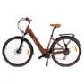 Youin You-ride Viena Elektrofahrrad, Brown, One Size, 250Wh
