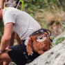 YY Vertical Sloth Chalkbag, One size