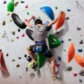 YY Vertical Tricératops Chalkbag, One size