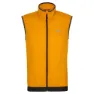 Dark mustard