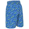 Zoggs Printed 15´´ Shorts Ed Badeshorts