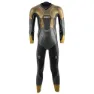 Gunmetal / gold 1
