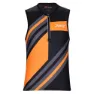 Racing stripe