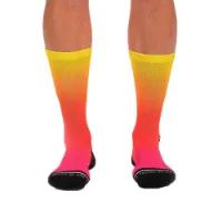 Zoot Team Fade Socken Zoot Team Fade Socken