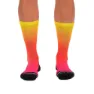 Zoot Team Fade Socken